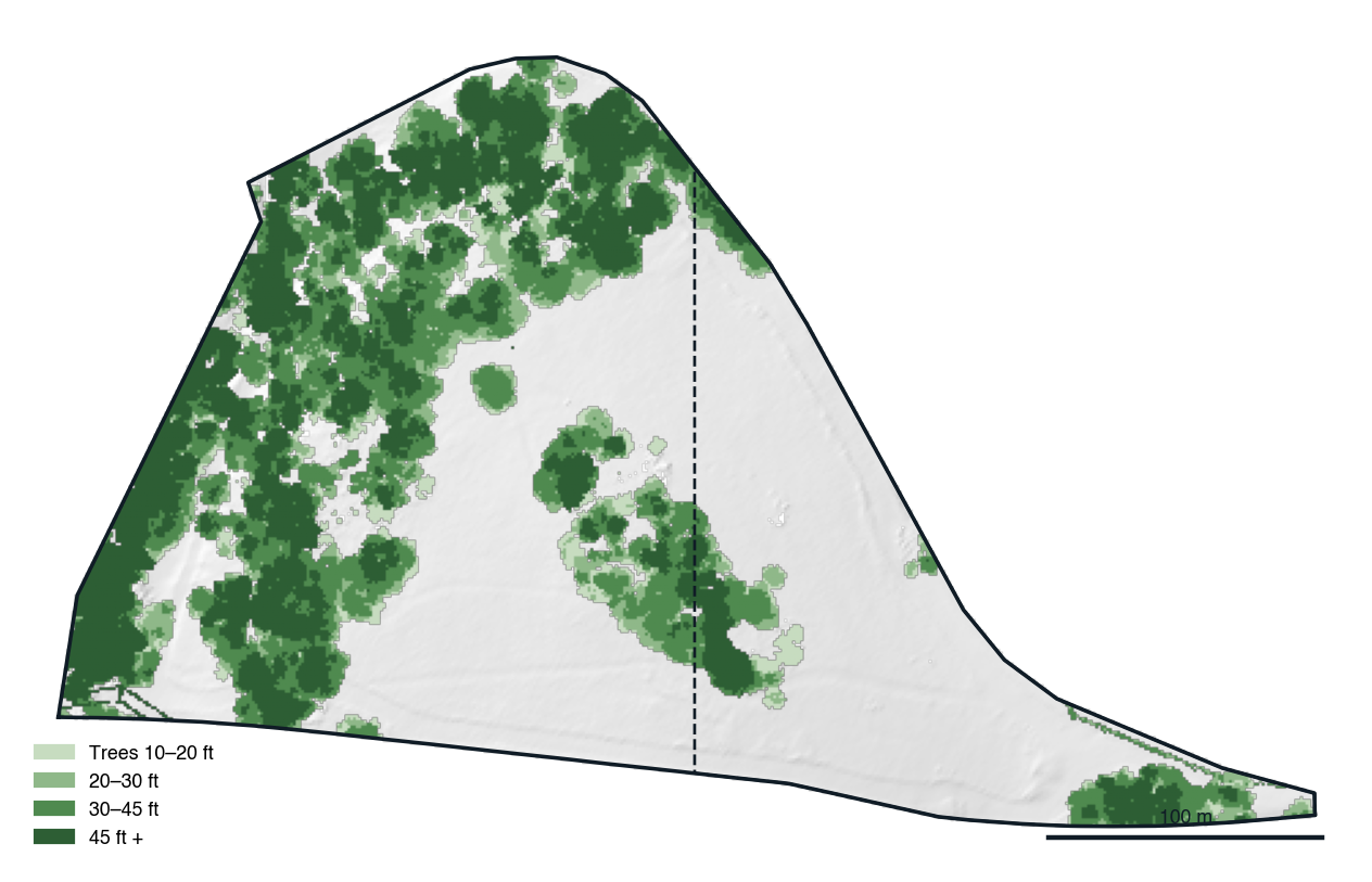 Tree canopy height across the parcel